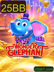 Explorando WonderElephant: O Fascinante Jogo '25BB'